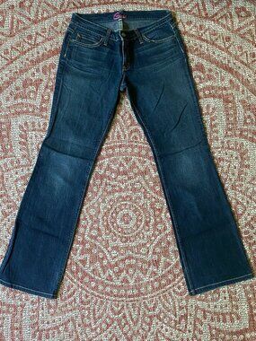 Vintage Blue Cult Flares Size 29